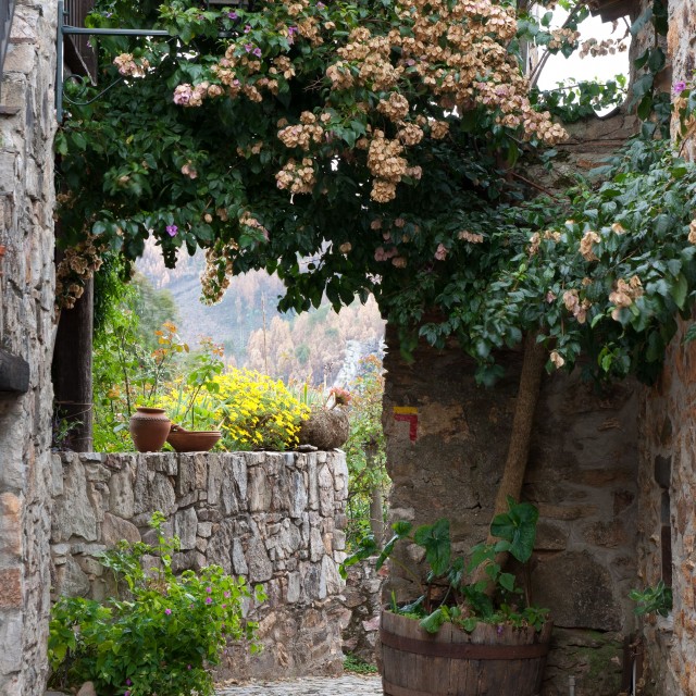 Casal de São Simão